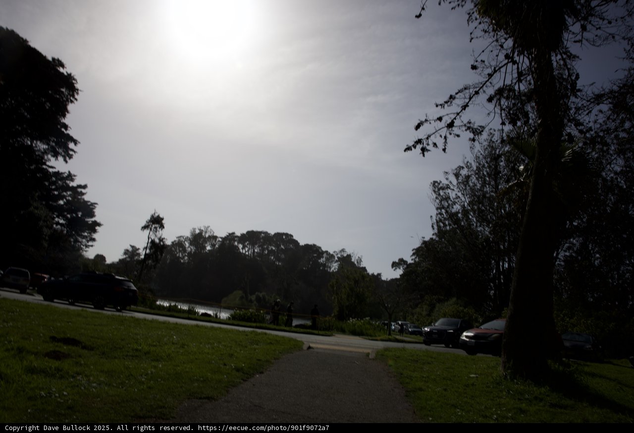 Afternoon Stroll at the California Academy of Sciences