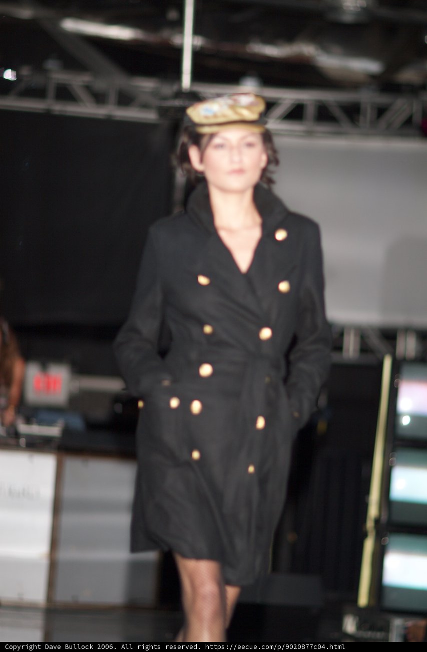 Strutting Down the Runway