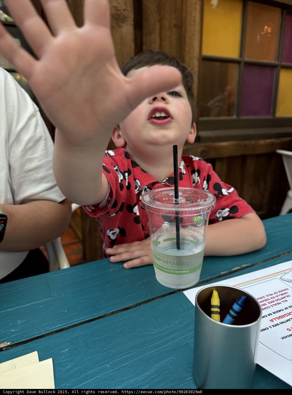 Playful Moments at the Table