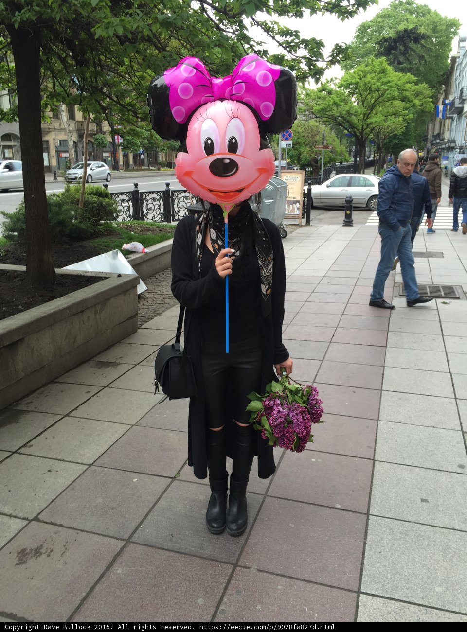 Minnie Mouse Mask Portrait