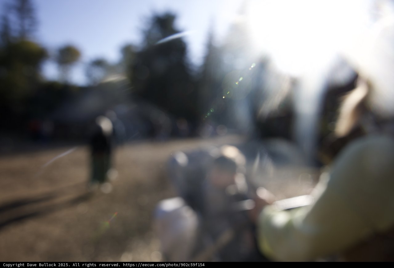 A Dance with Sun and Shadow