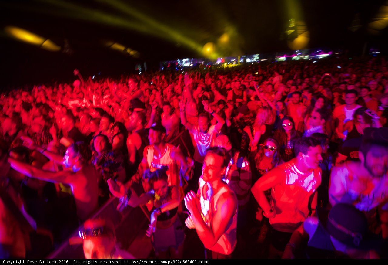 Urban Nightlife Fun at Concert
