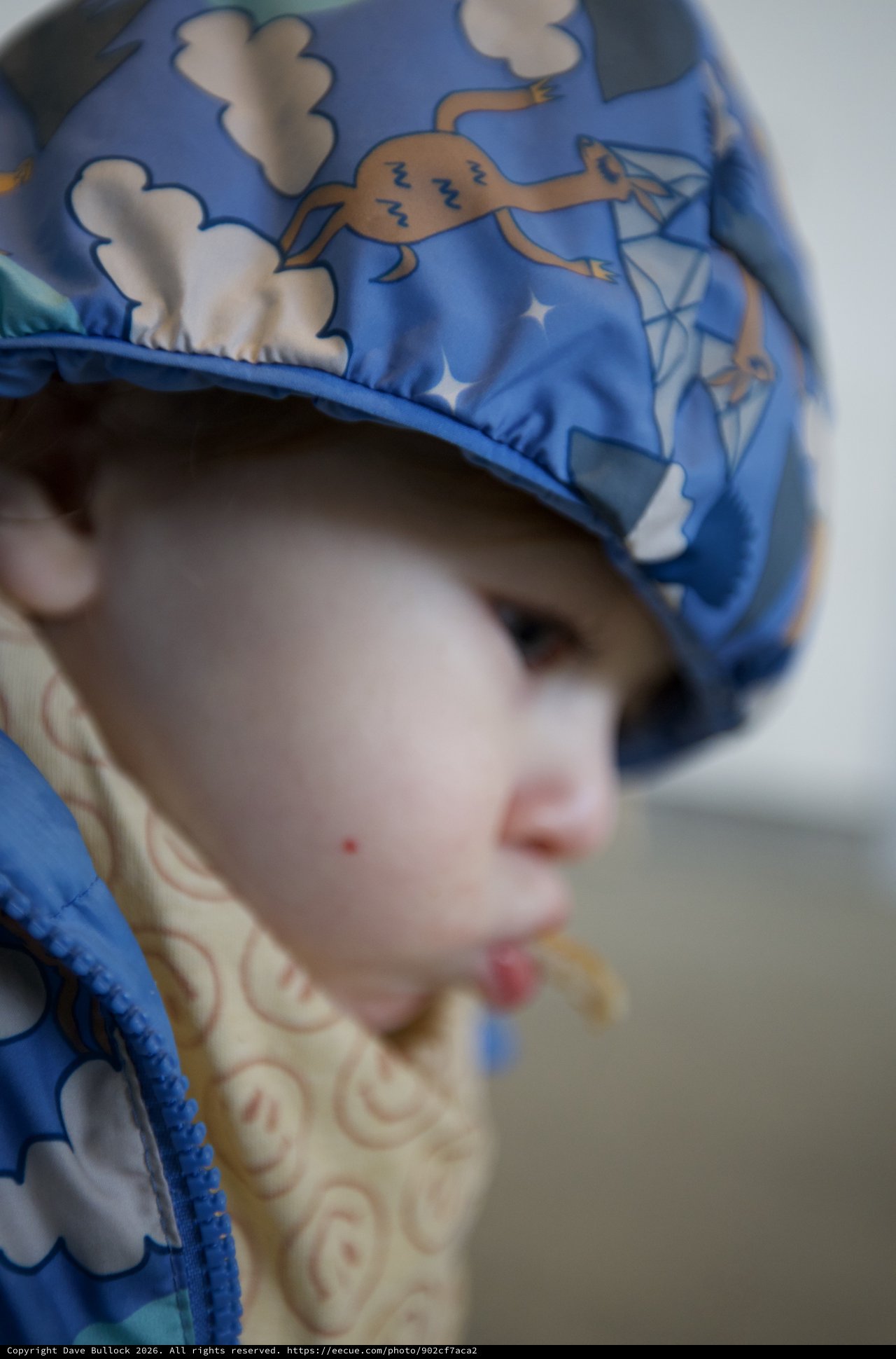 Child in Blue Dinosaur Print Hood