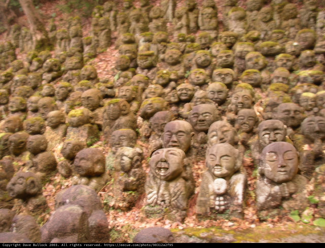 Stone Head Landmark in the Woods