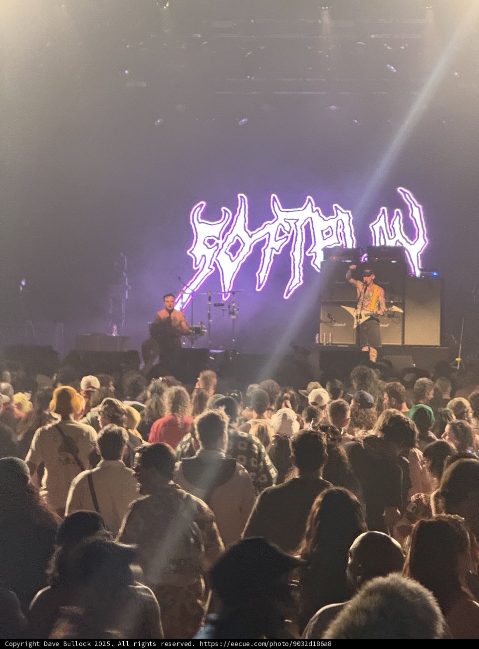 Electric Vibes Under the Desert Sky
