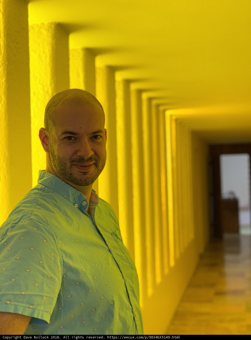 The Man in the Yellow Corridor