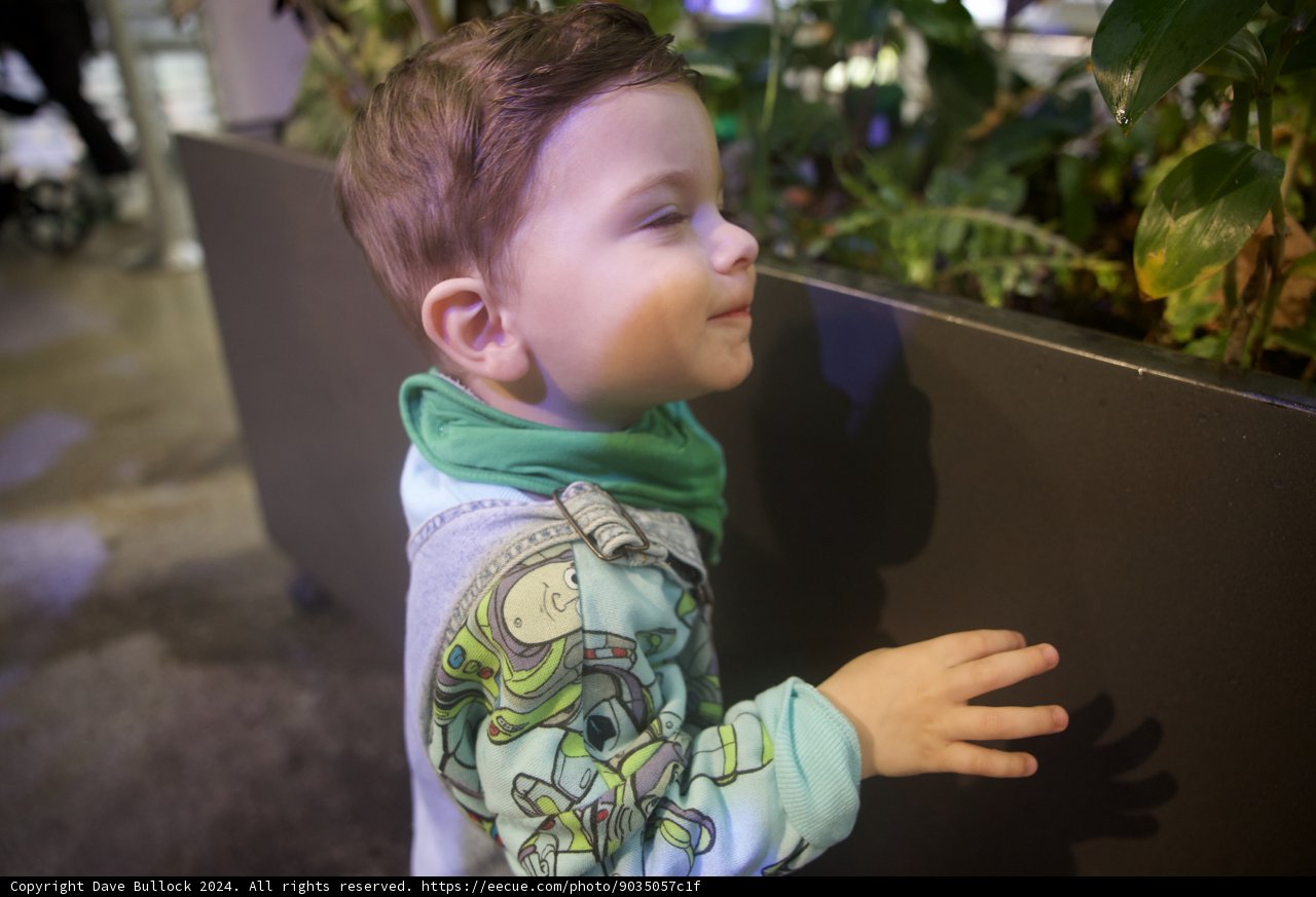 Engrossed in Green - A Young Boy's Fascination with Plants