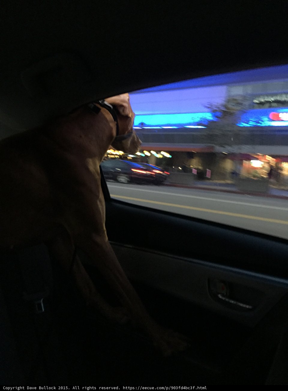 Evening Car Ride