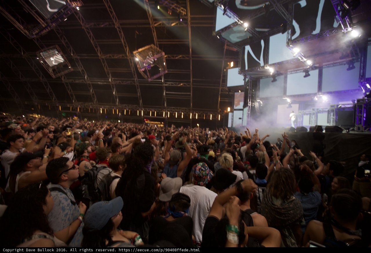 Electrifying Night: The Crowd at Coachella