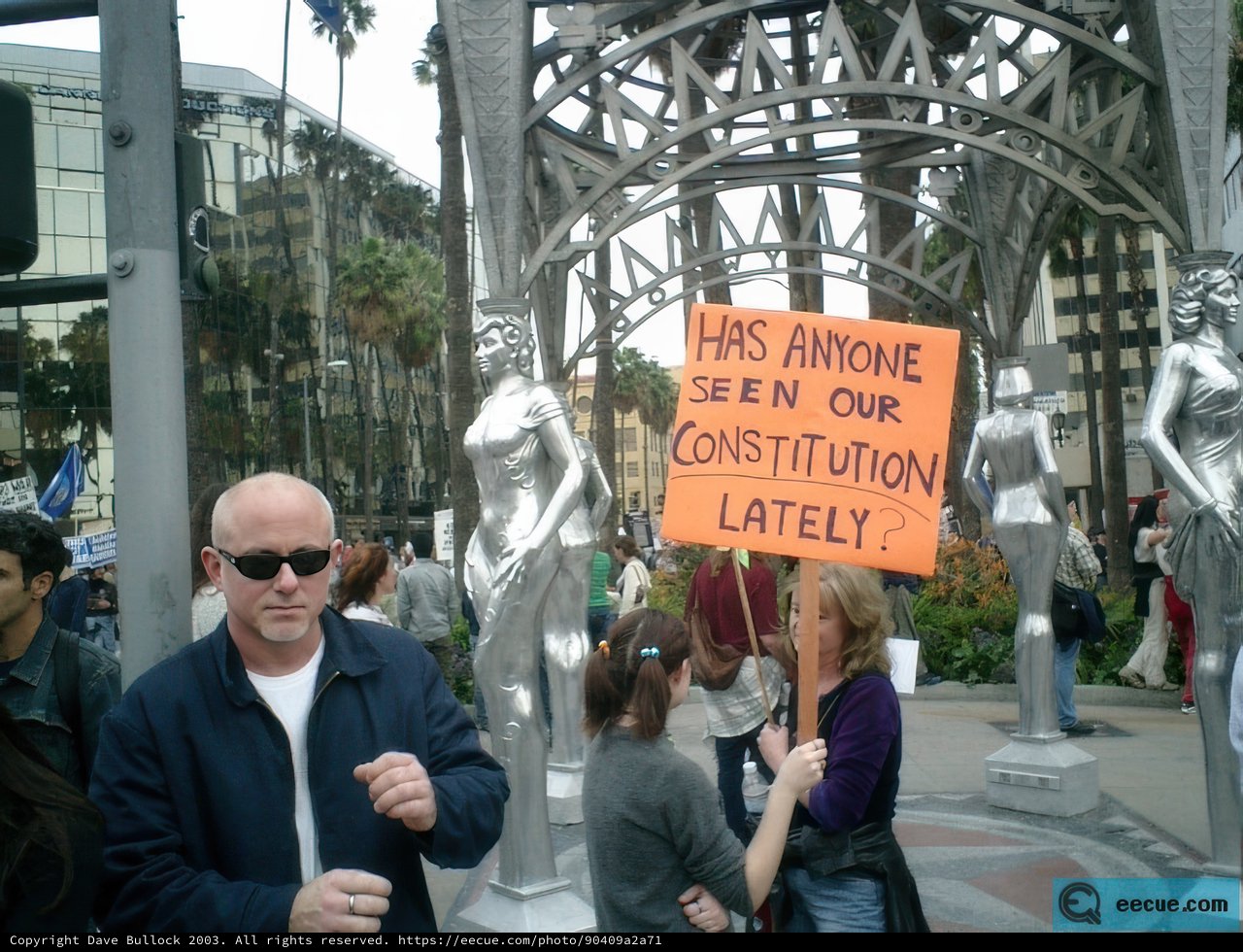 Another Constitution Sign