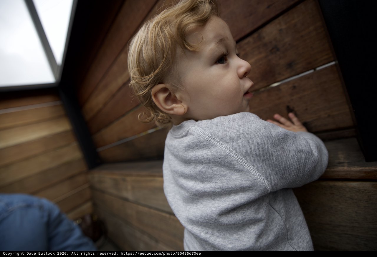 Curious Toddler Gazing Upward in Wonder