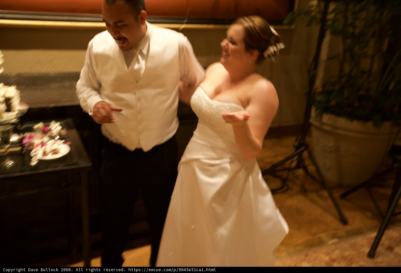 Dancing the Night Away