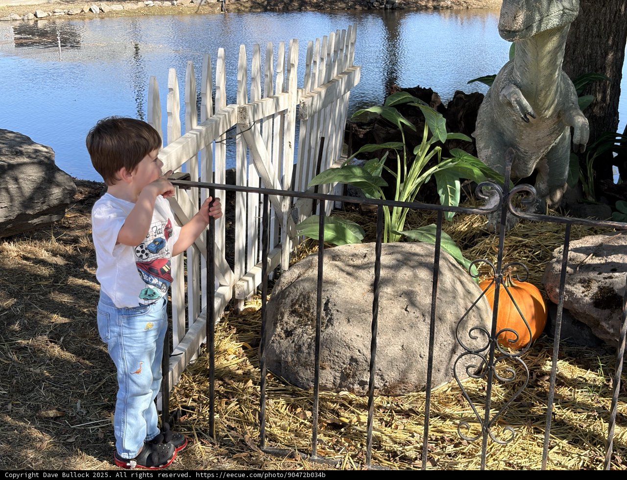 Imaginations Unleashed by the Waterside