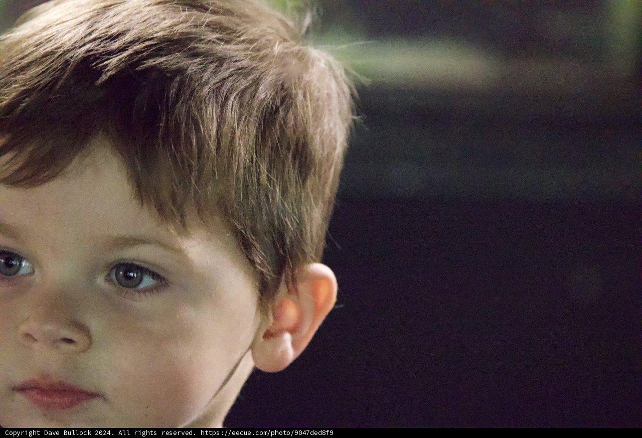 Innocence Captured