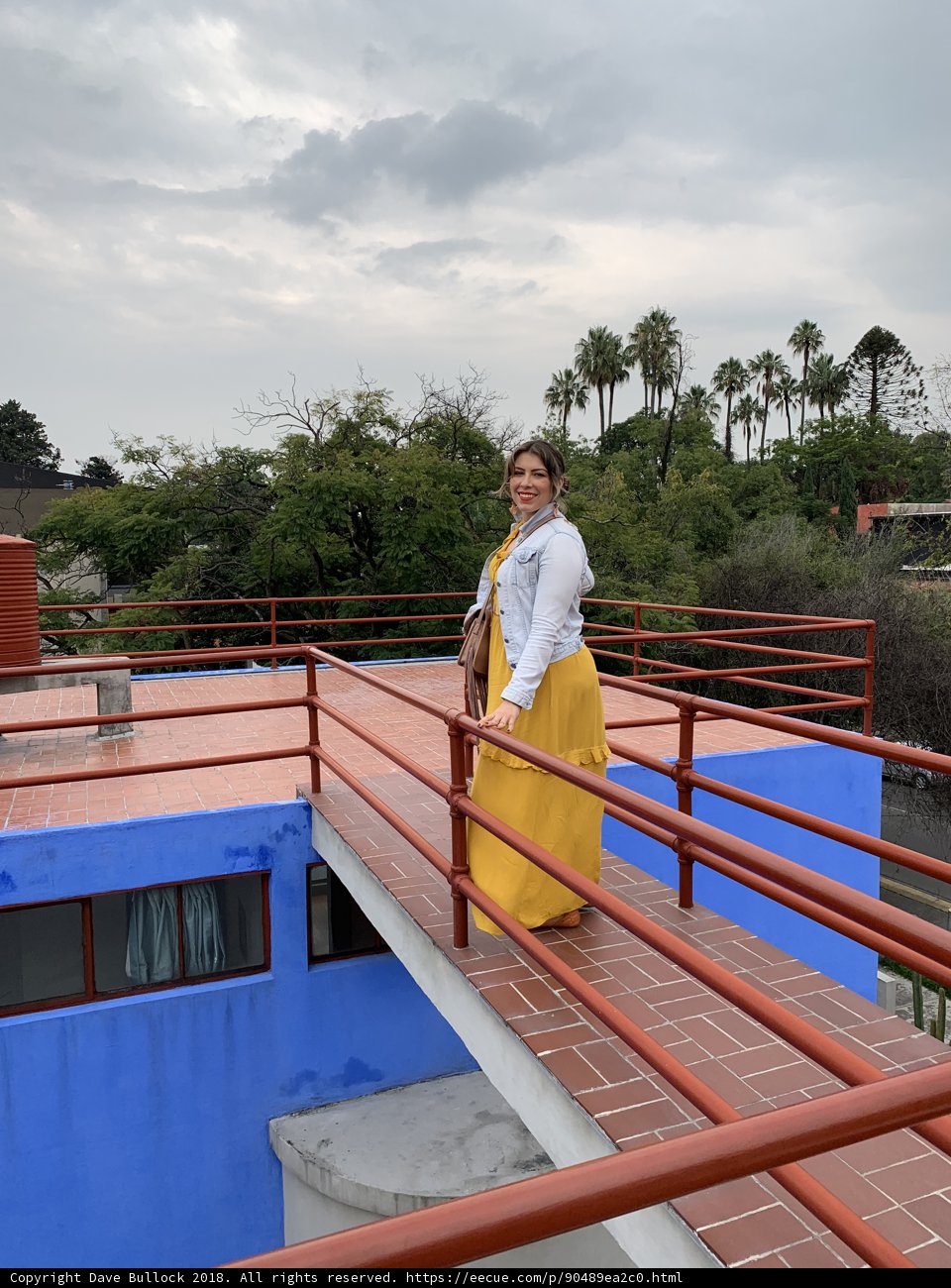 The Lady in Yellow