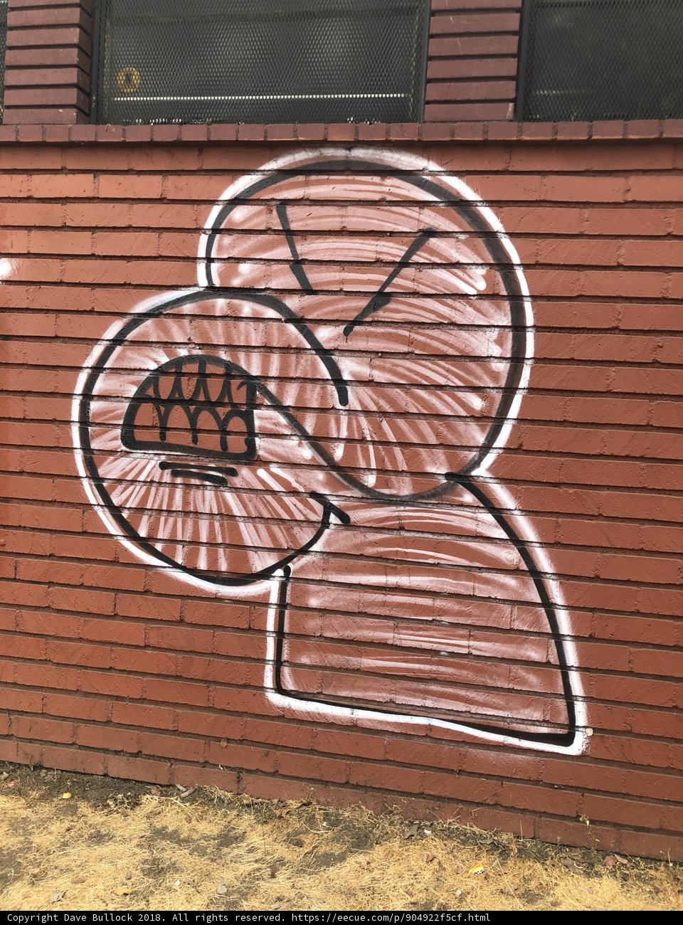 Artistic Expression on the Brick Wall