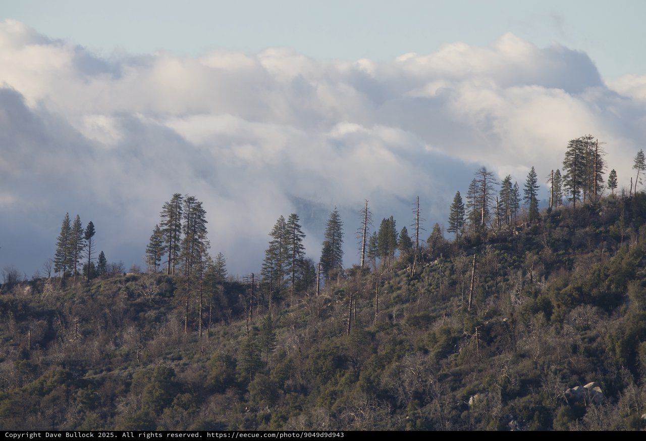 Smoky Mountain Ridge with Sparse Conifer Forest