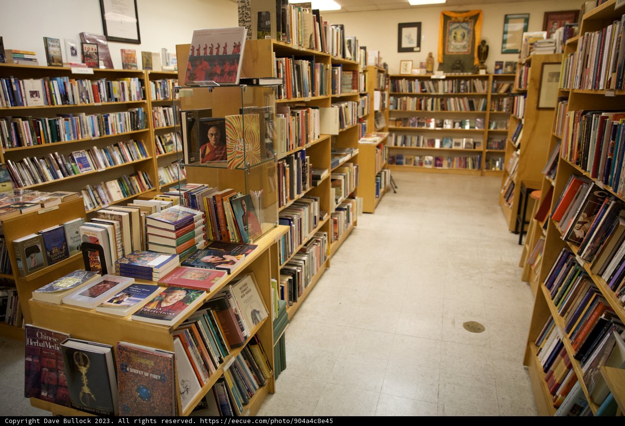 A Literary Heaven in Japan Town Skyela, 2023