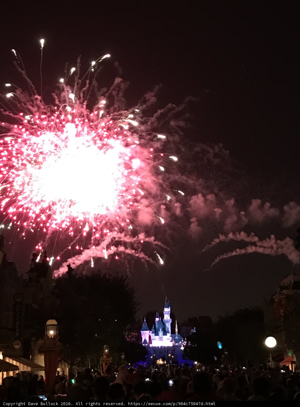A Magical Night at Disneyland