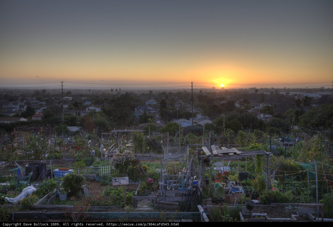 Rooftop View of a Stunning Sunset Garden