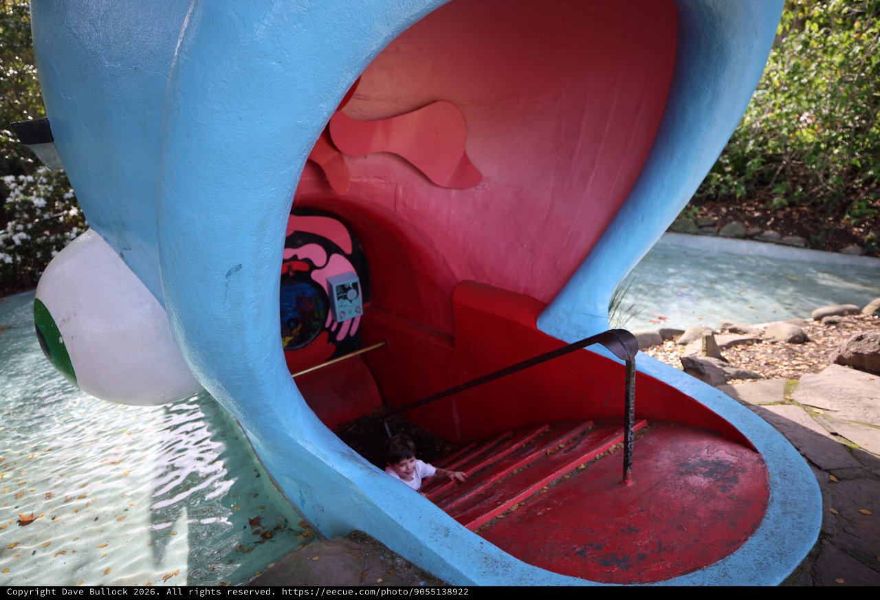 Inside the Mouth of a Giant Blue Whale Slide