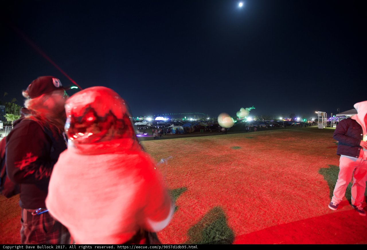 Moonlit Field Gathering