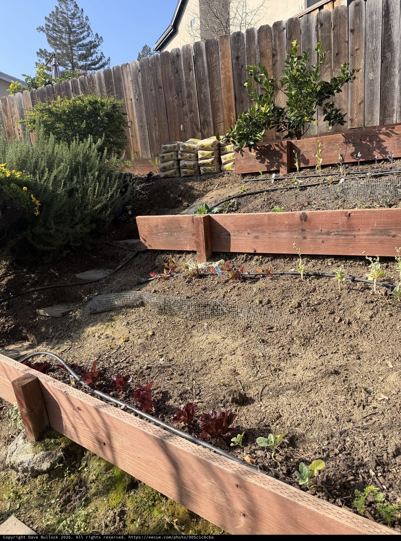 Terraced Garden Construction with Wooden Retaining Walls
