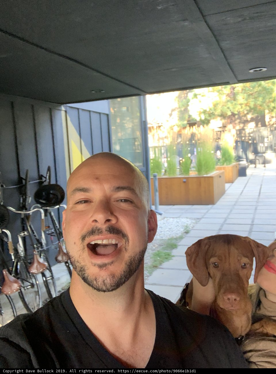 Man and Dog Strike a Pose with Potted Plant
