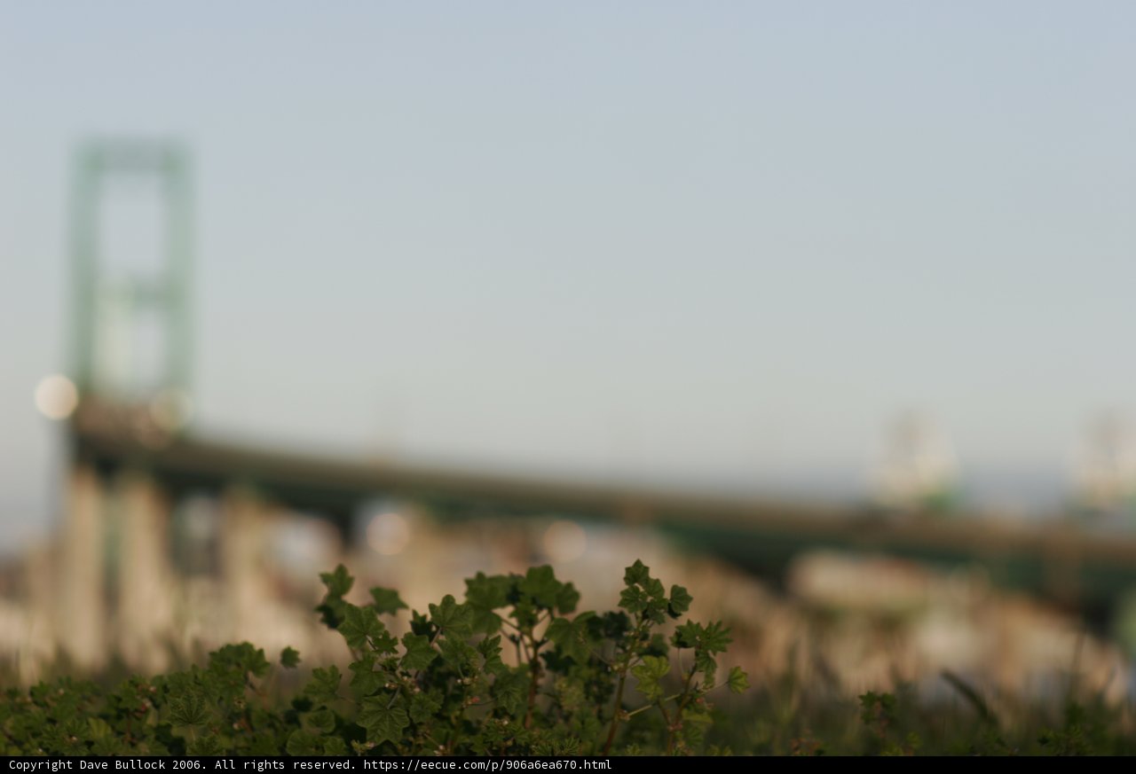 Greenery on the Metropolis Bridge