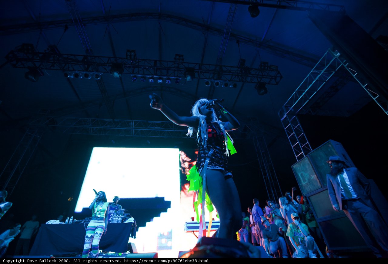 Spotlight on Female Performer at 2008 Coachella Concert