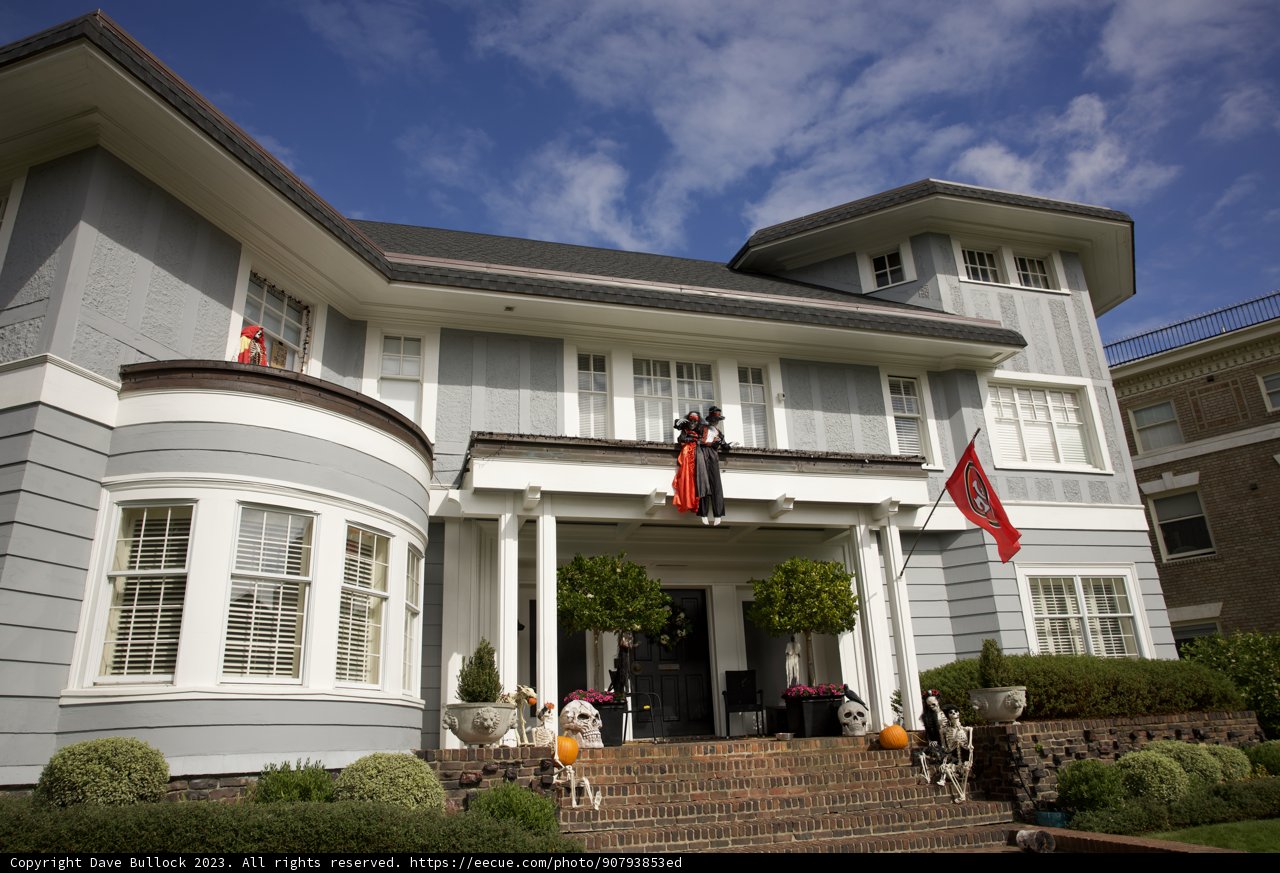 Grandeur Among the Fog: San Francisco Charm