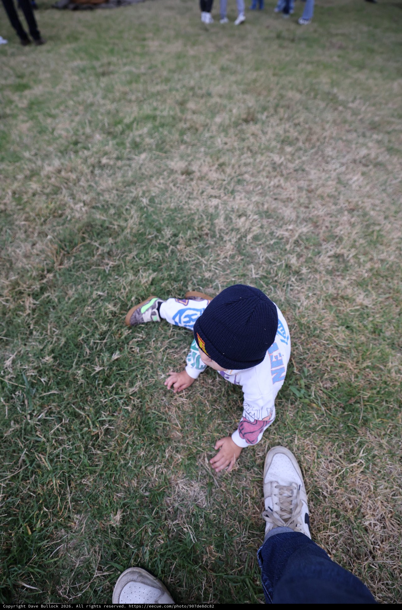Toddler Explores Festival Grounds at Balloon Classic