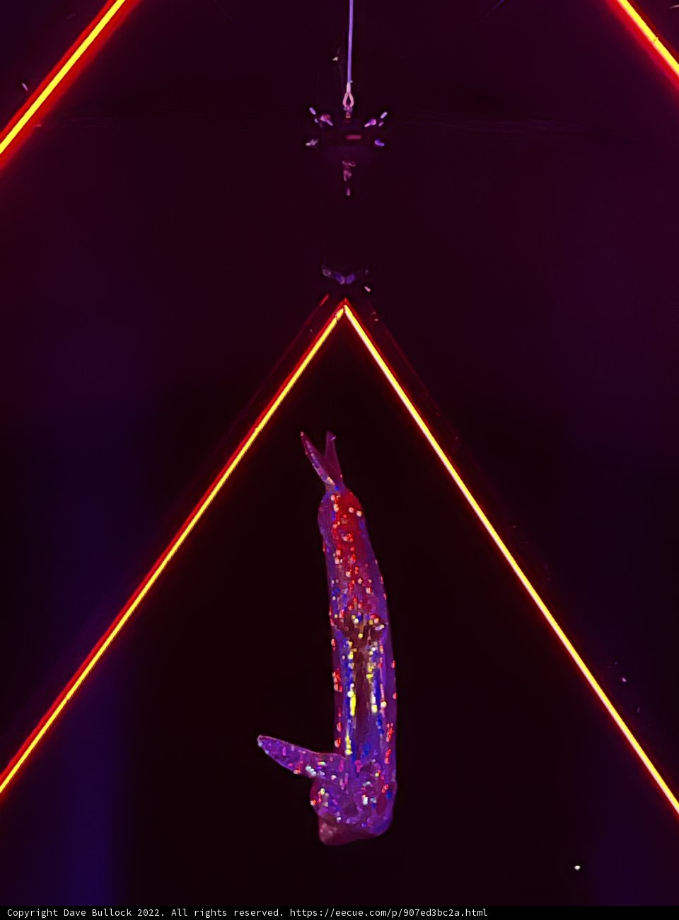 Laser-Lit Acrobatics