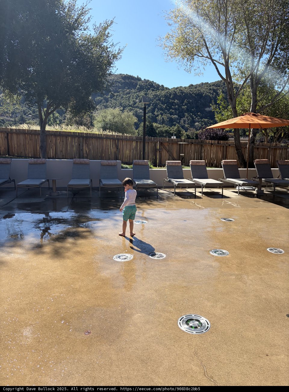 Sunny Splash in Carmel