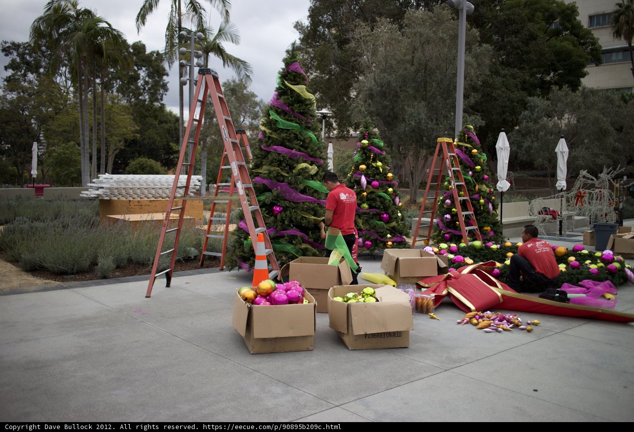 Decking the Halls