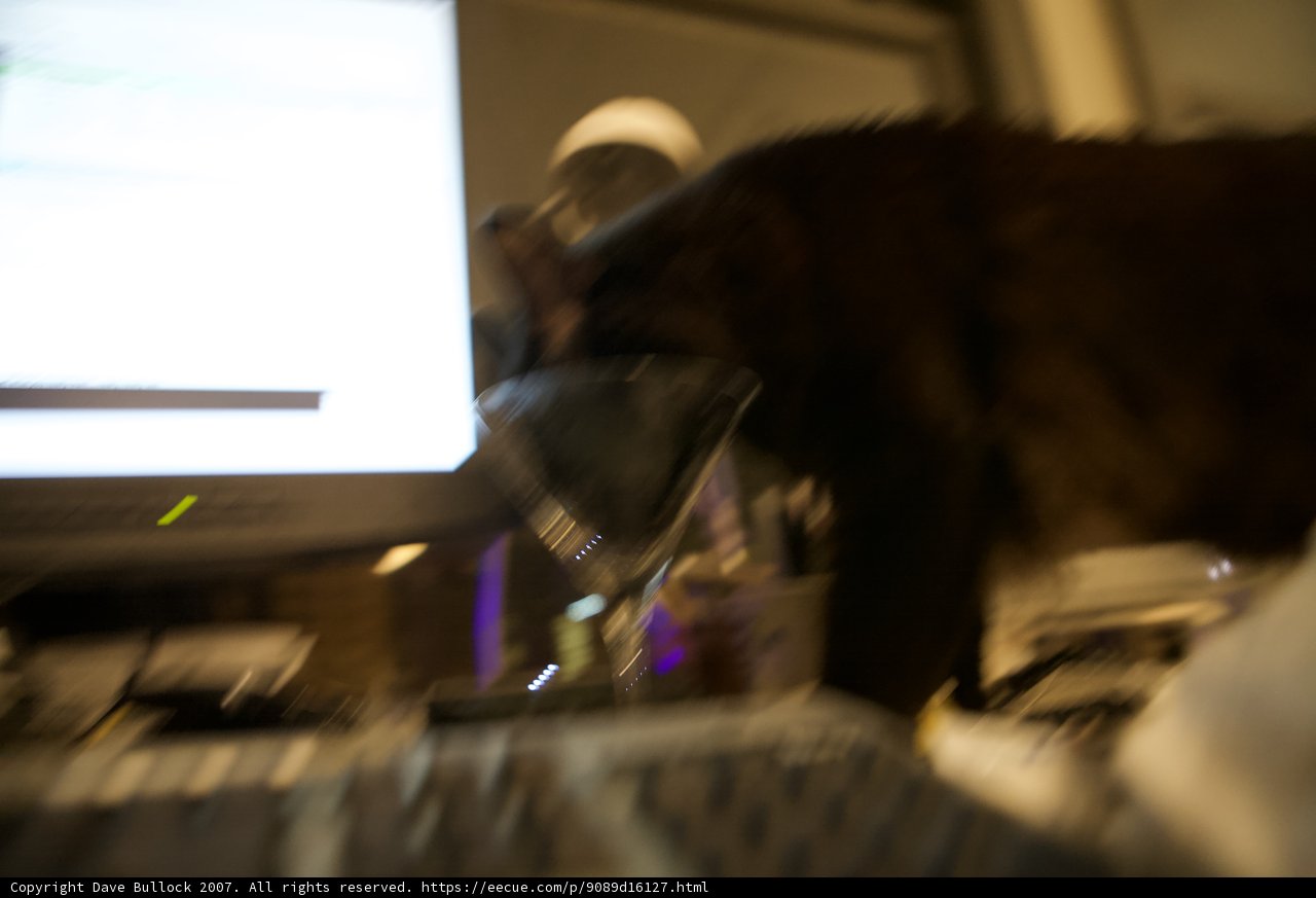 Keyboard Kitty