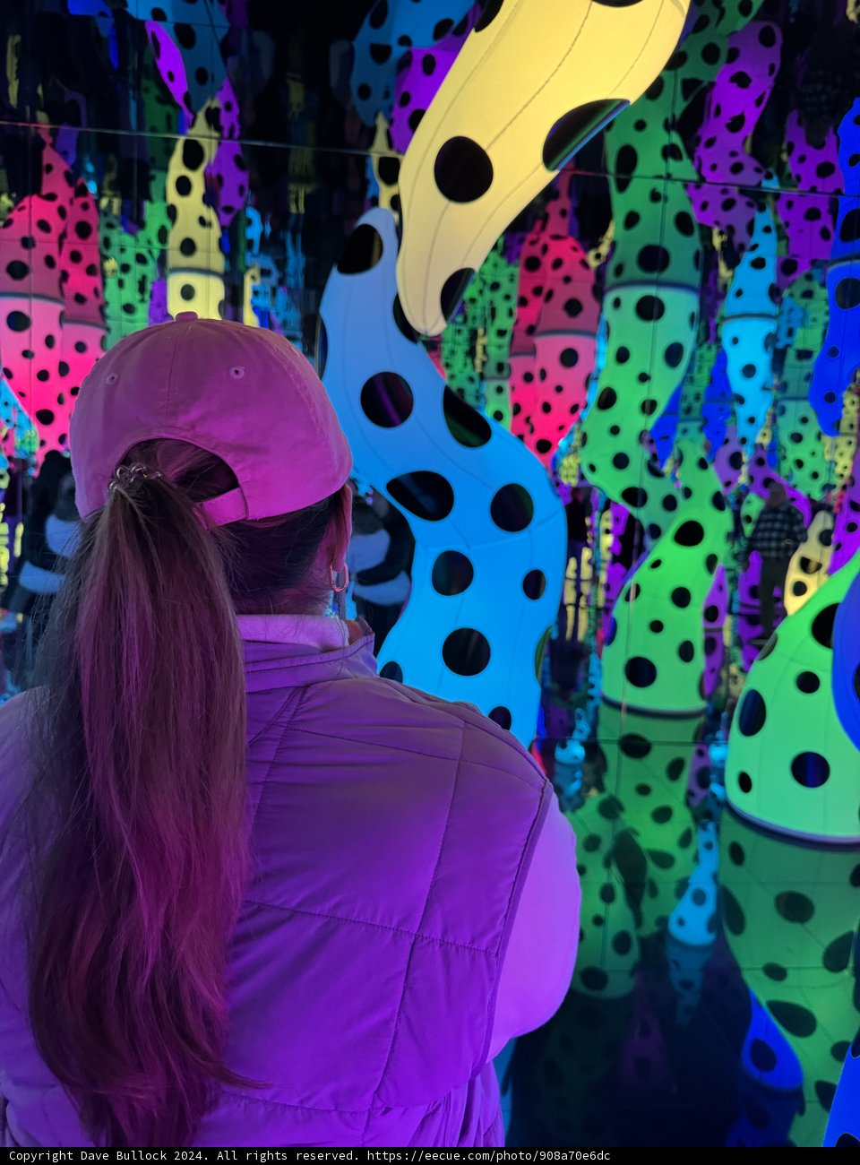 Engulfed in Polka Dots: A Yayoi Kusama Exhibit Experience