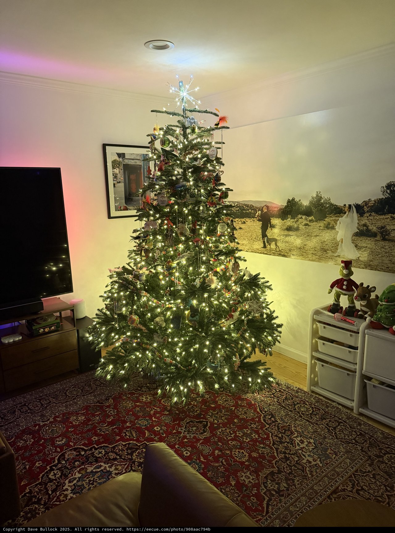 Illuminated Christmas Tree in Modern Living Room