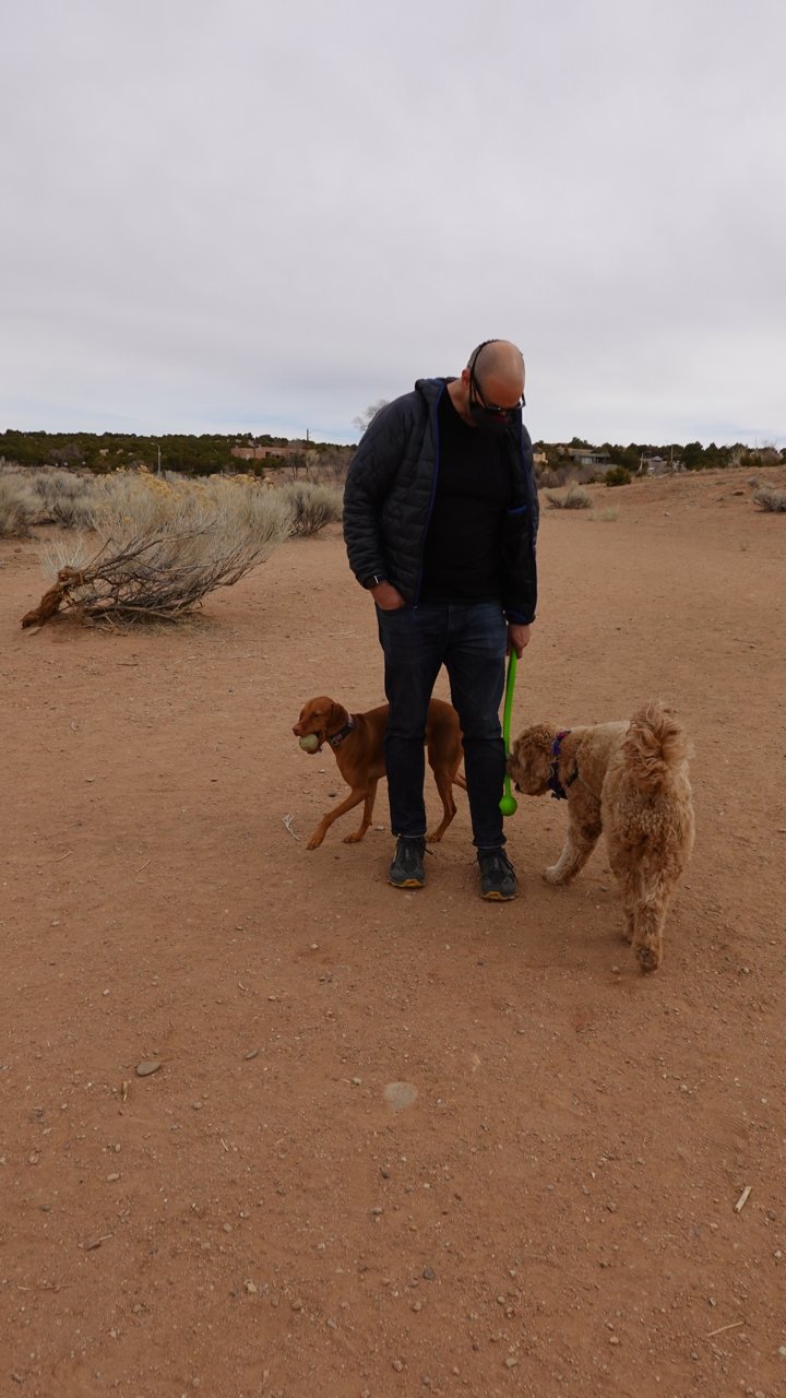 Walking Man with Two Dogs in the Desert
