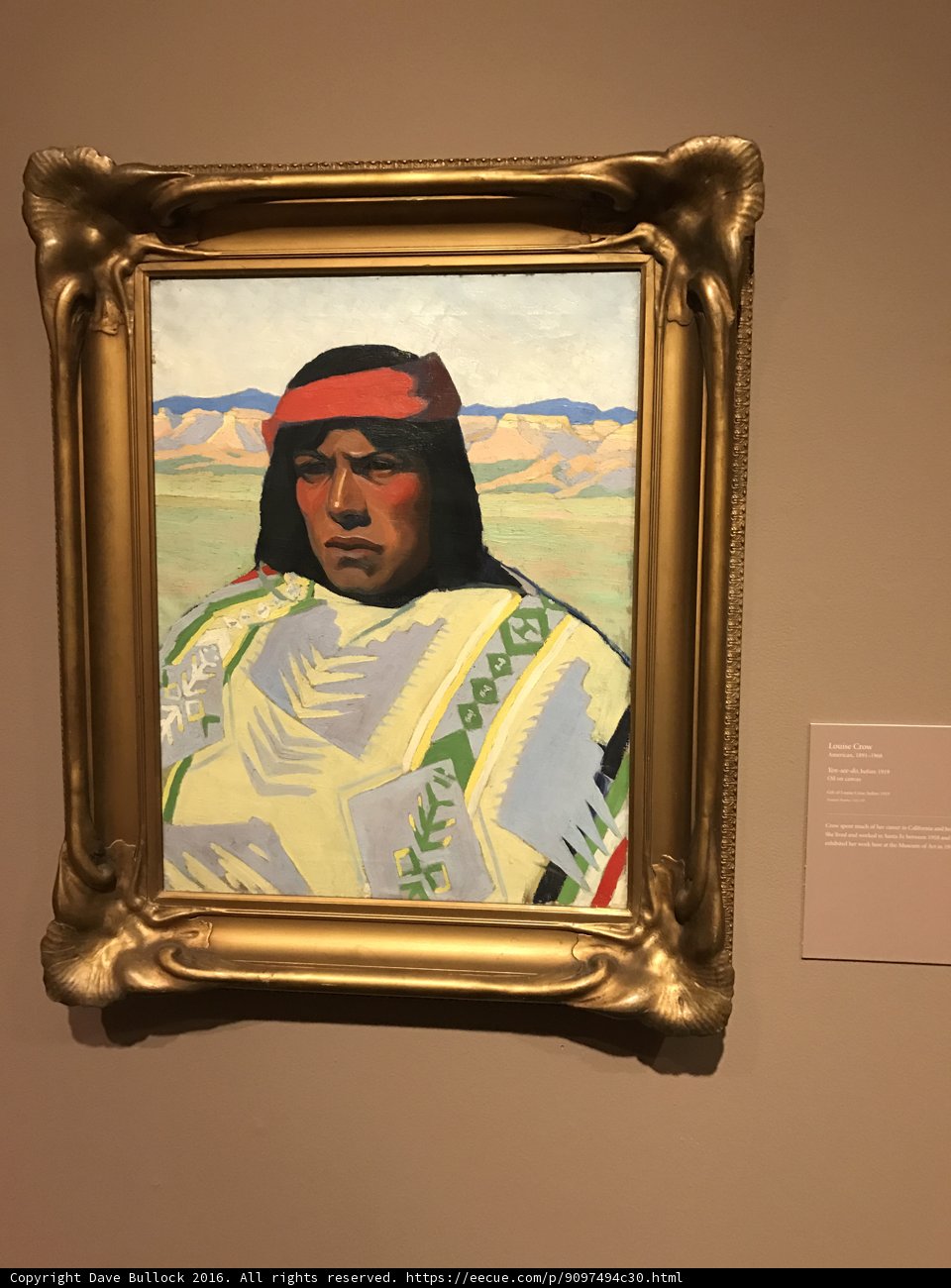 Portrait of a Native American Woman in a Golden Frame