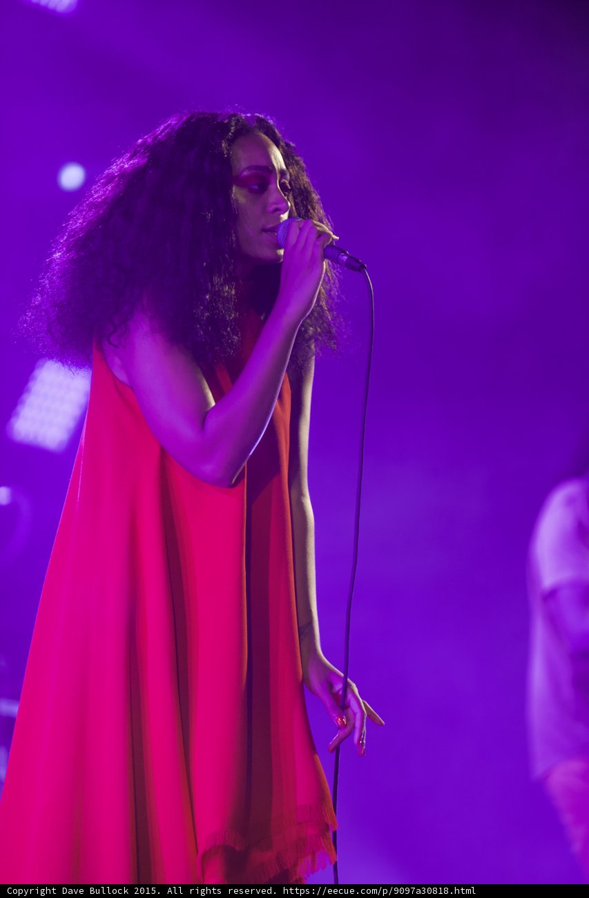 Solange Profile Singing Mic Cord Loop Band Member Purple Blue