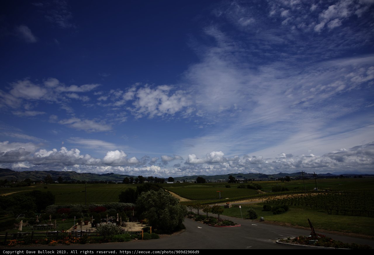 A Serene Stroll through Napa's Countryside