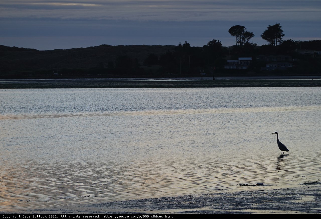 Dusk Reflections