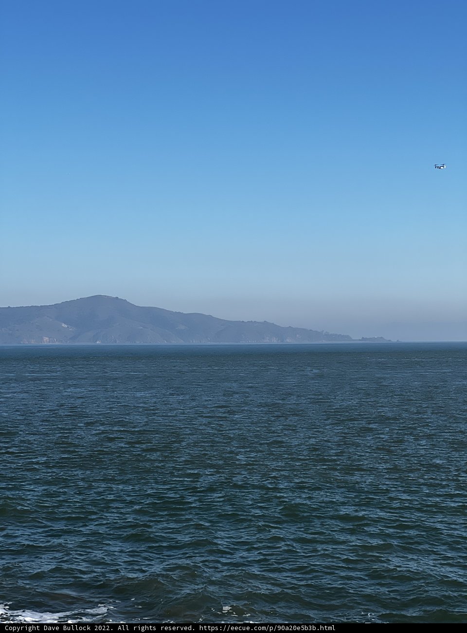Majestic Bird Soars Above Scenic Ocean and Mountains