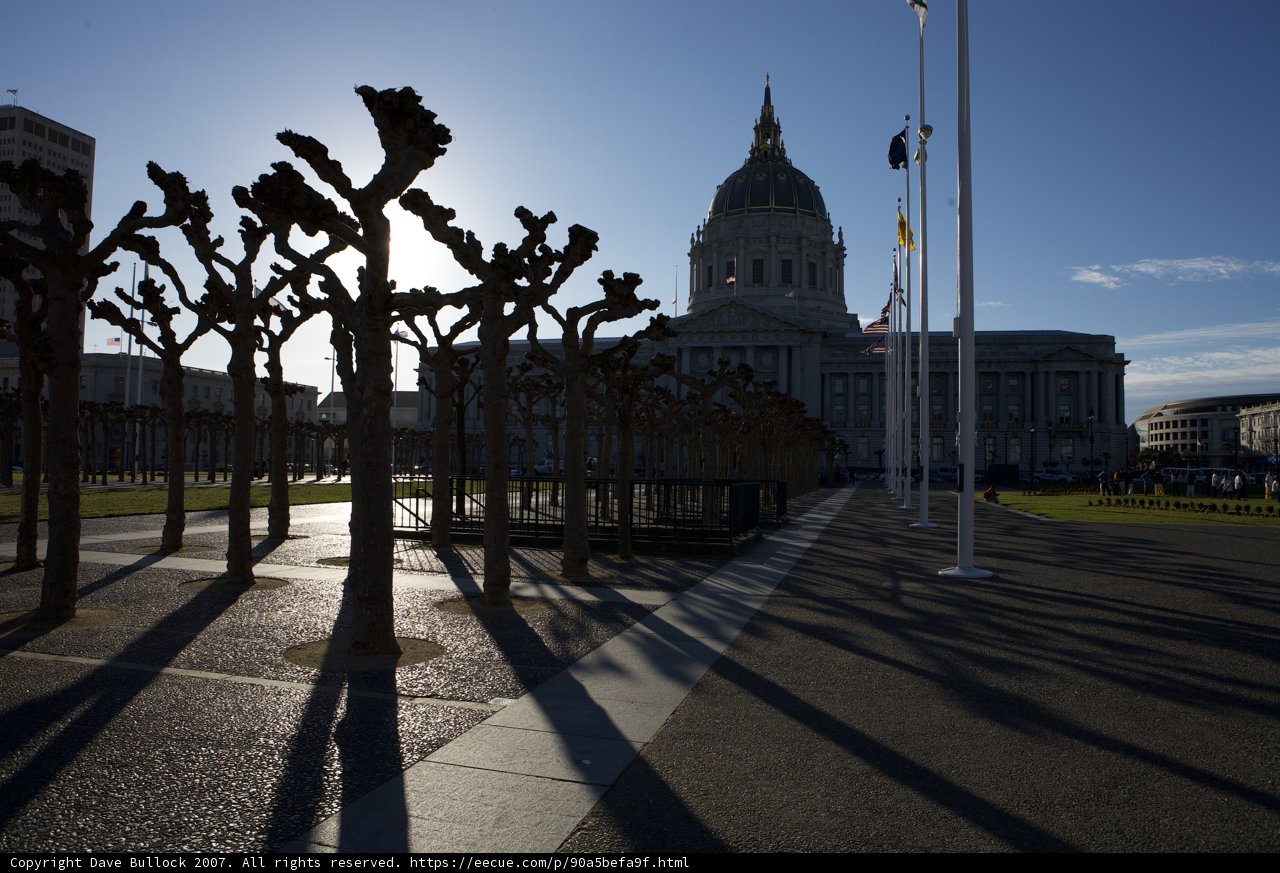 Civic Center Building's Perfect Landscape