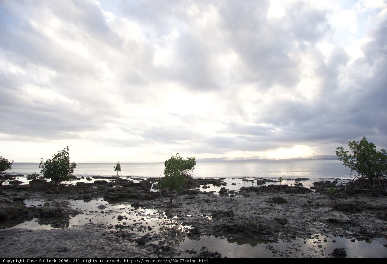 Captivating Scenery of the Fiji Coastline