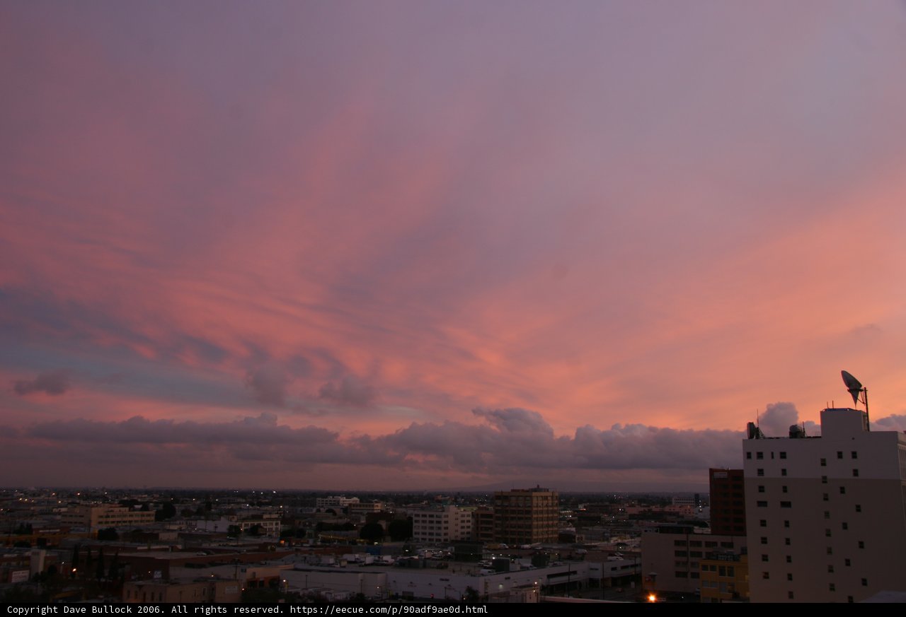 Pink Skies over the Urban Jungle