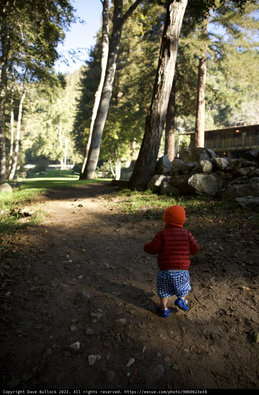 The Path of Childhood Exploration