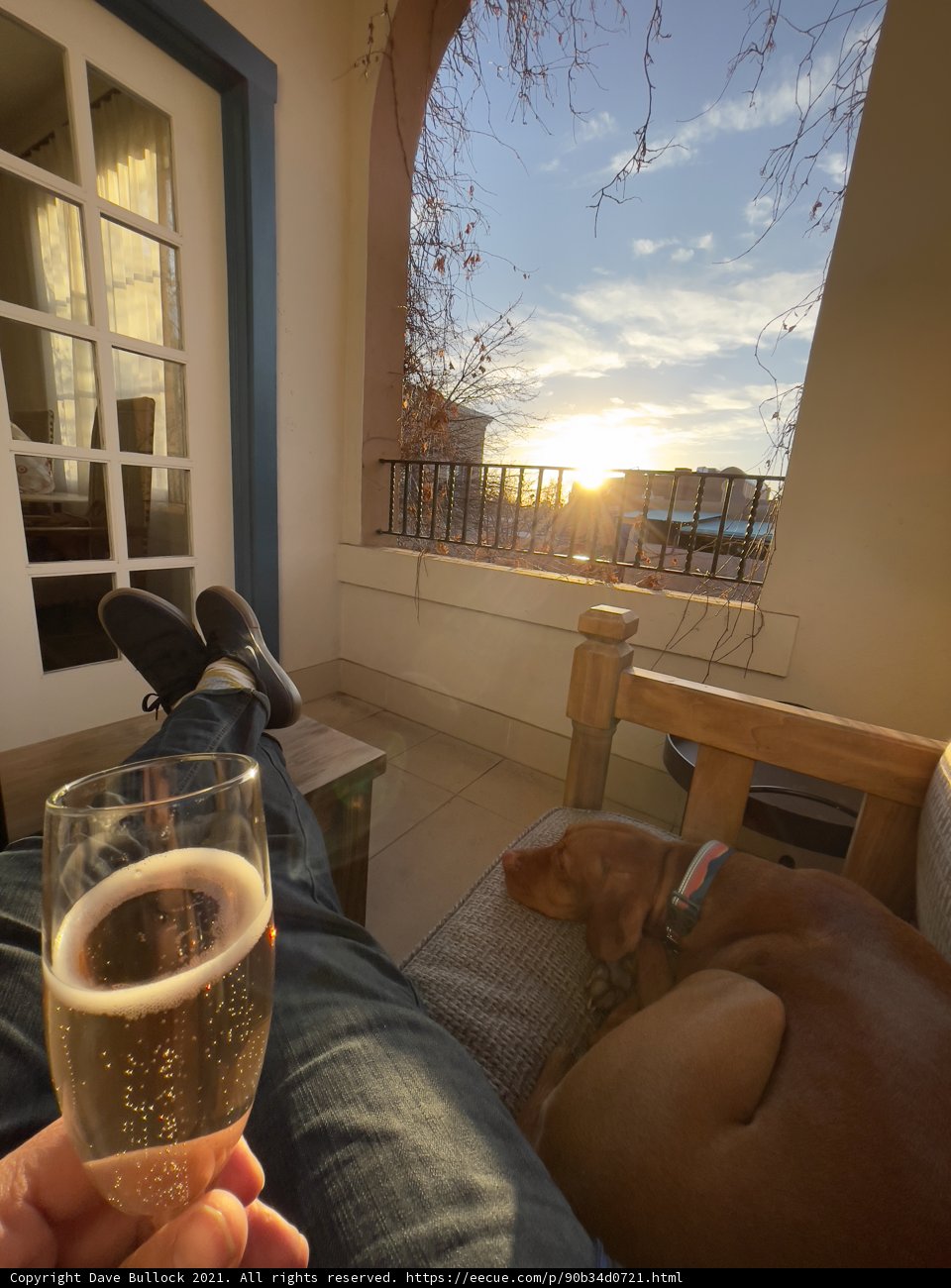 Cozy Evening Sips