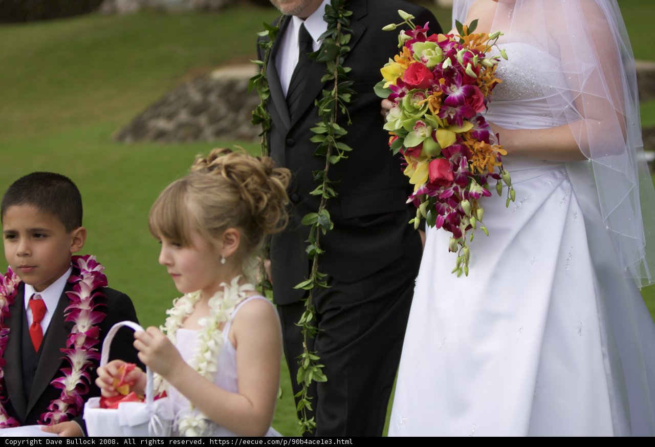 Wedding Day Bliss